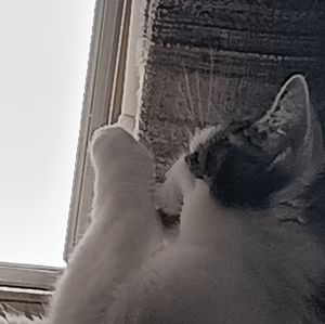 Meet your Posher, Malachi